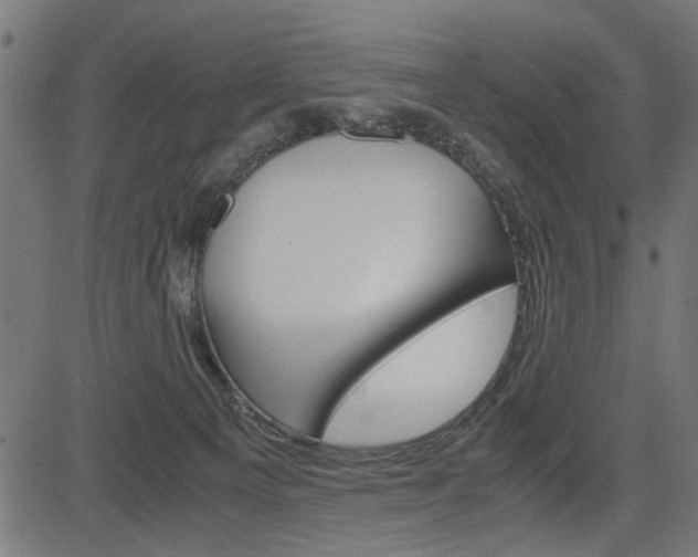 X0000082950129200702011057