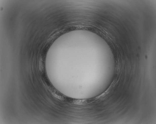 X0000082950136200702011057