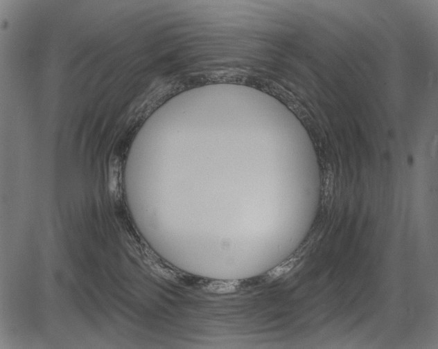 X0000082950138200702011057