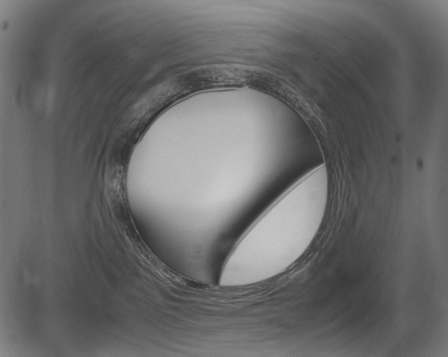 X0000082950141200702011057