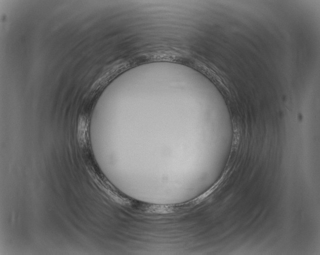 X0000082950142200702011057