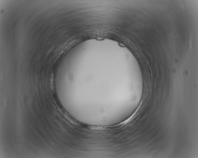 X0000082950144200702011057