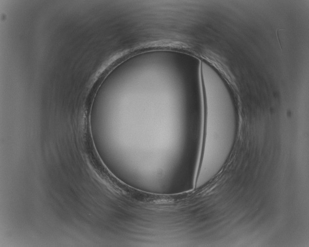 X0000082950156200702011056