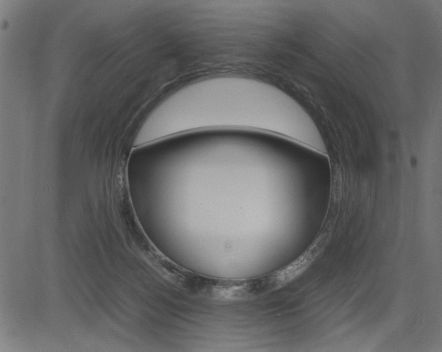 X0000082950172200702011057
