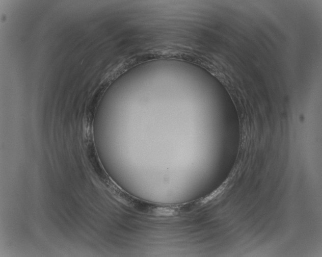 X0000082950176200702011057