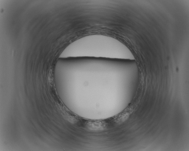 X0000082950181200702011057
