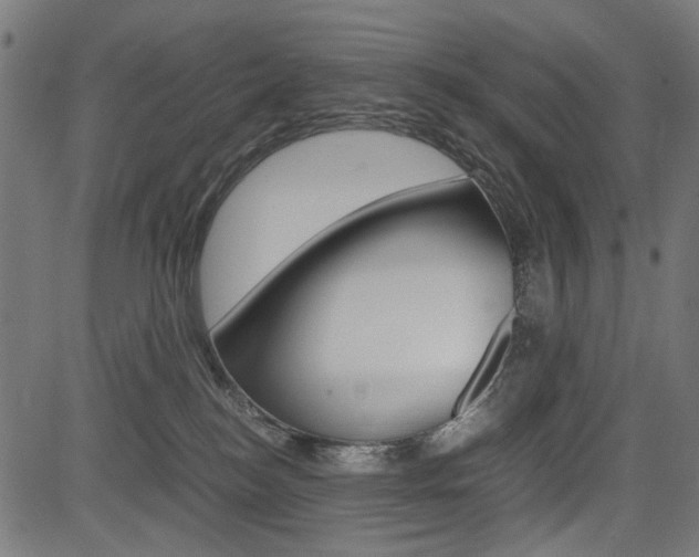 X0000082950184200702011057