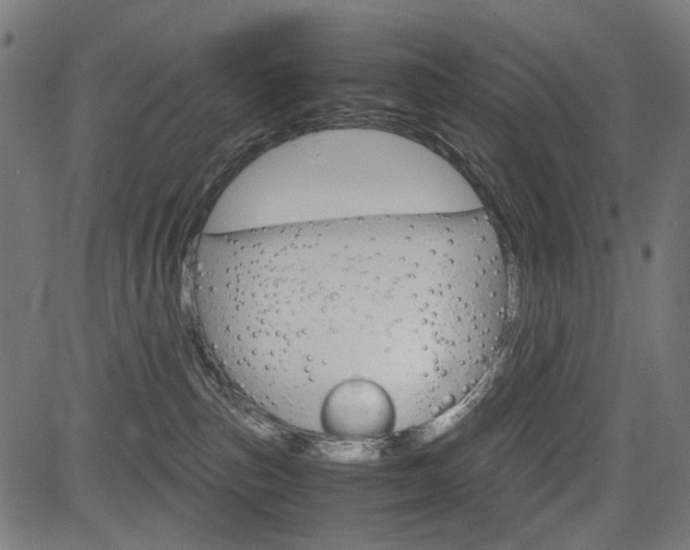X0000082950187200702011057