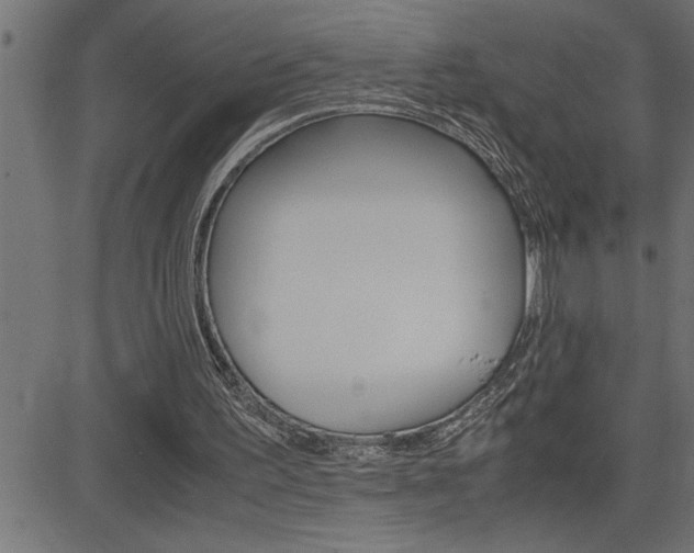 X0000082950195200702011056