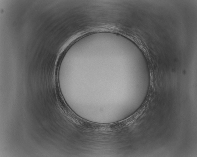 X0000082950196200702011056