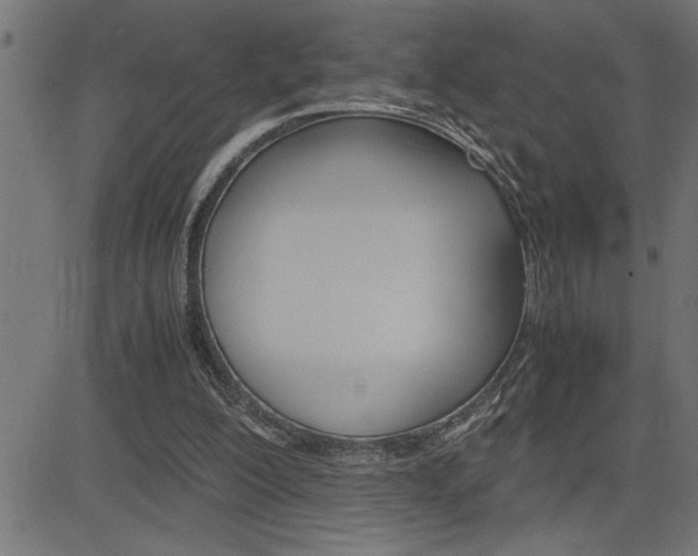 X0000082950200200702011056