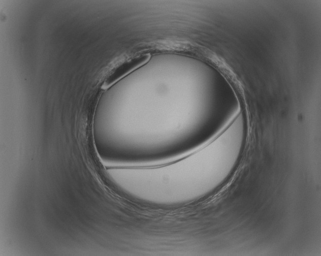 X0000082950201200702011056