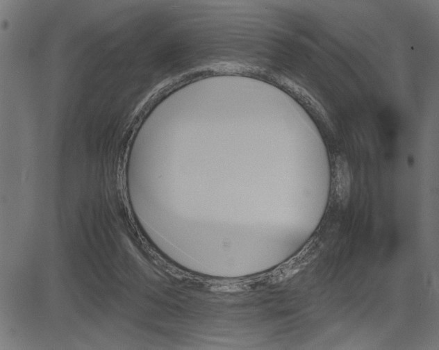 X0000082950208200702011056