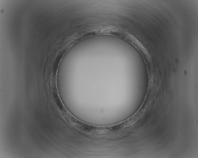 X0000082950209200702011056