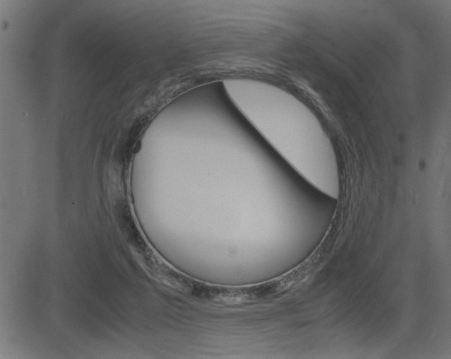 X0000082950213200702011056