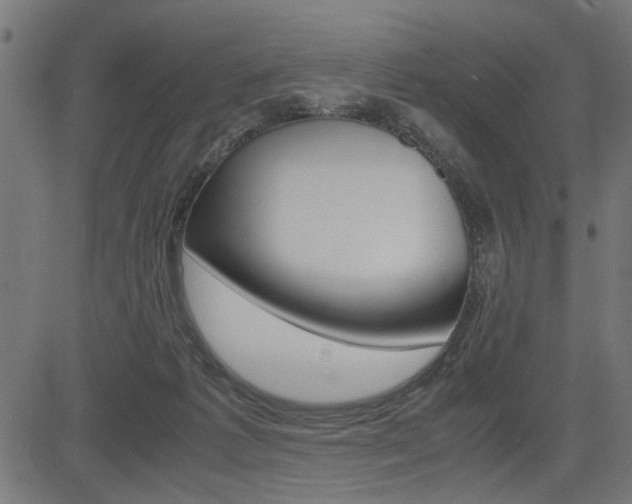 X0000082950221200702011056
