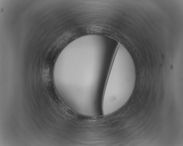 X0000082950224200702011056