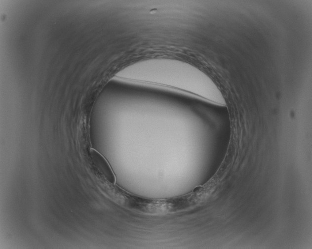 X0000082950225200702011056