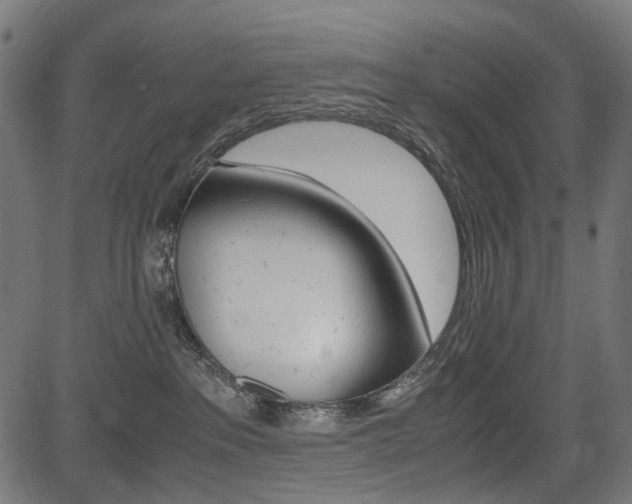 X0000082950237200702011055