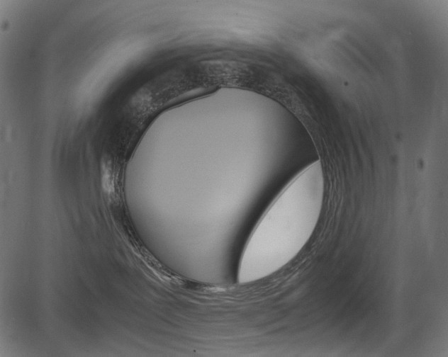 X0000082950239200702011055