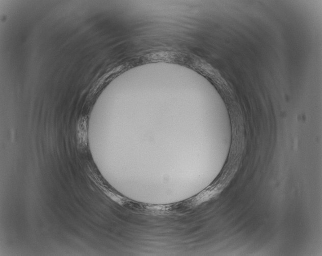 X0000082950240200702011055