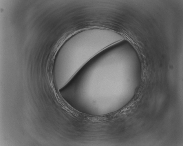 X0000082950241200702011055