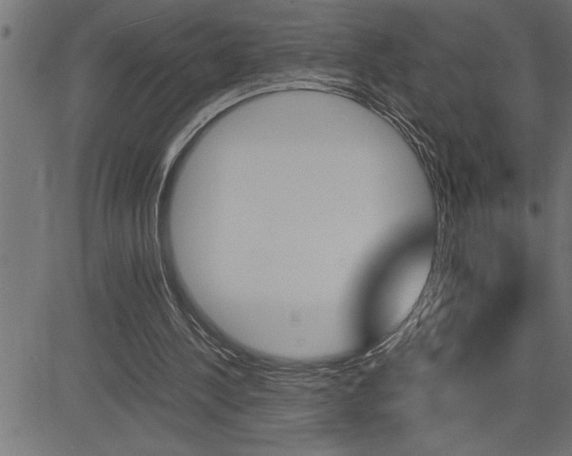 X0000082950244200702011055