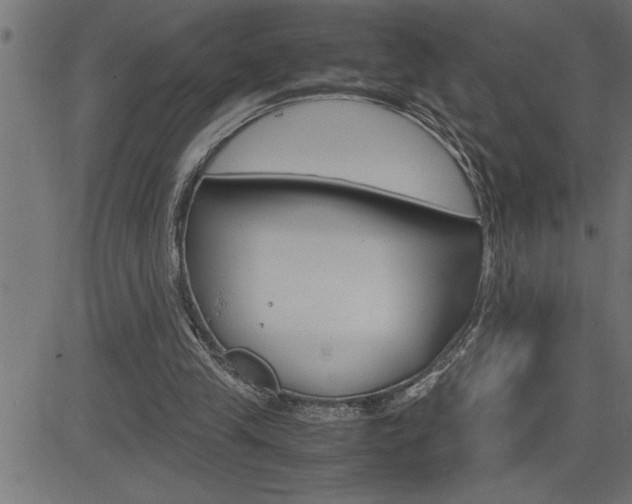 X0000082950245200702011055