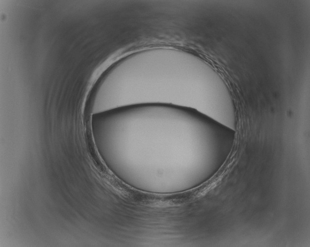 X0000082950246200702011055