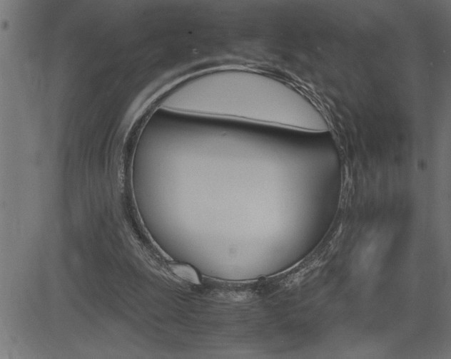 X0000082950247200702011055