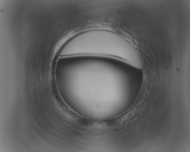 X0000082950248200702011055