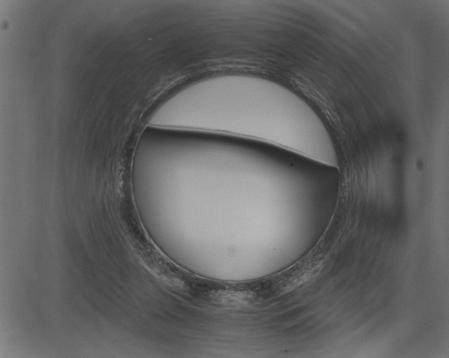 X0000082950255200702011055