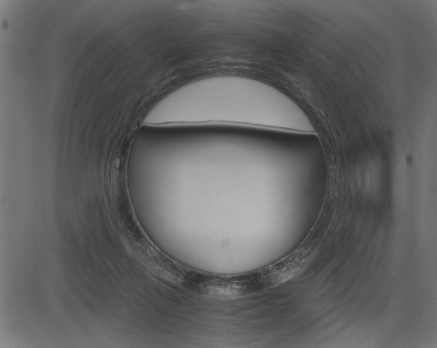 X0000082950263200702011055