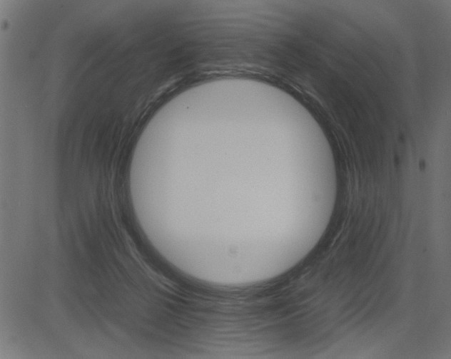 X0000082950264200702011055