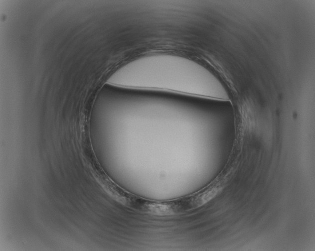 X0000082950265200702011055
