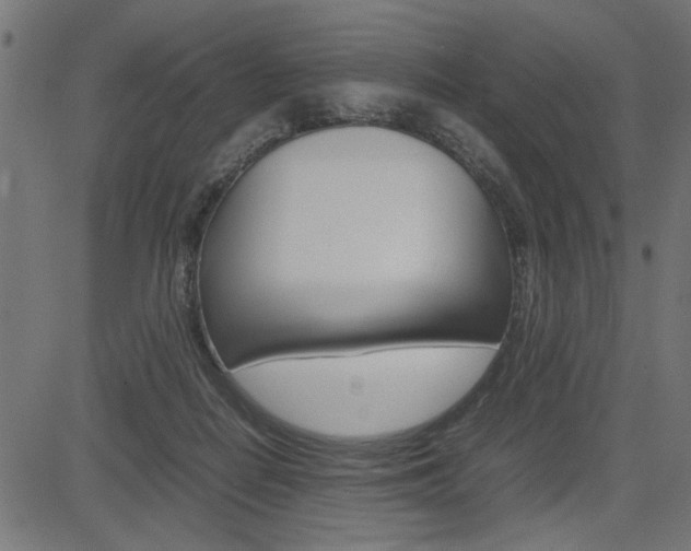X0000082950266200702011055