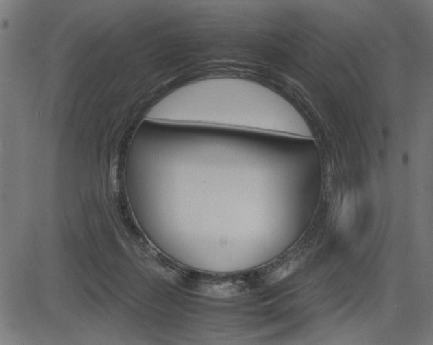 X0000082950267200702011055