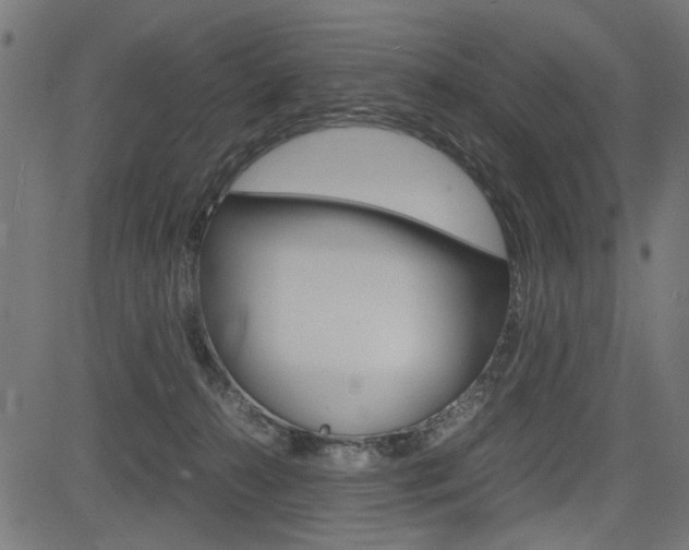 X0000082950272200702011055