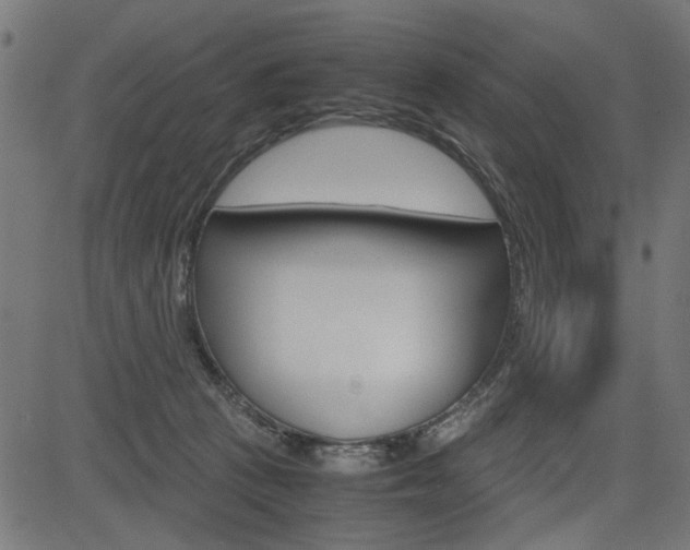 X0000082950273200702011055