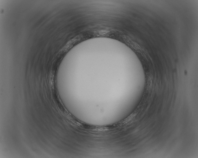 X0000082950274200702011055