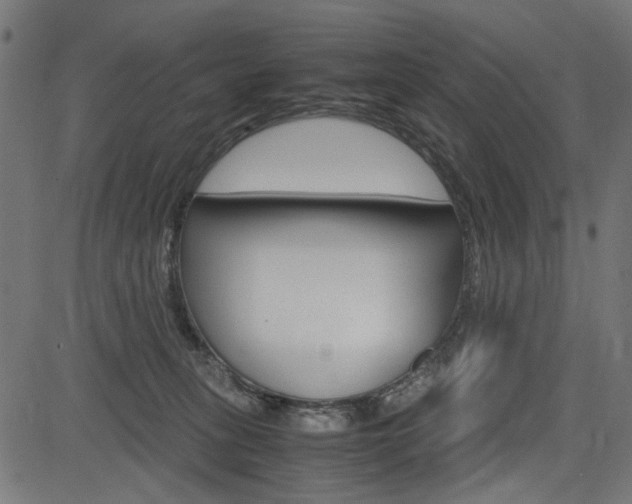 X0000082950275200702011055
