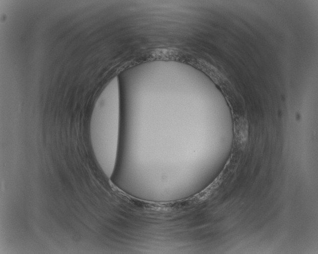 X0000082950276200702011055