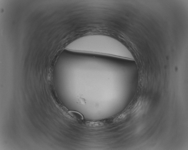 X0000082950277200702011055