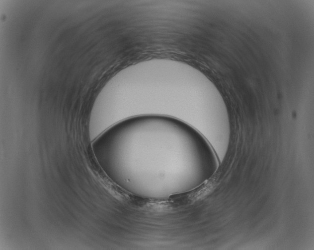 X0000082950280200702011055