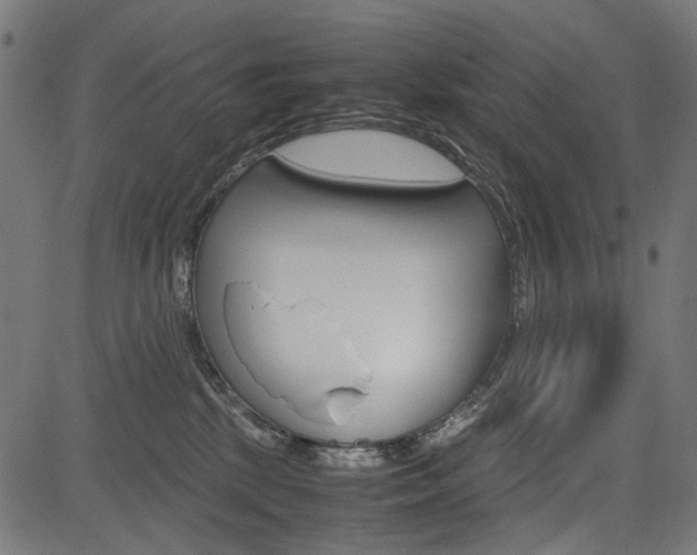 X0000082950281200702011055