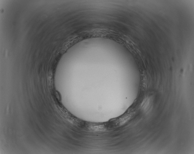 X0000082950283200702011055