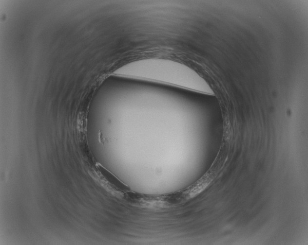 X0000082950284200702011055