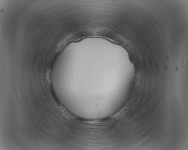 X0000082950286200702011055