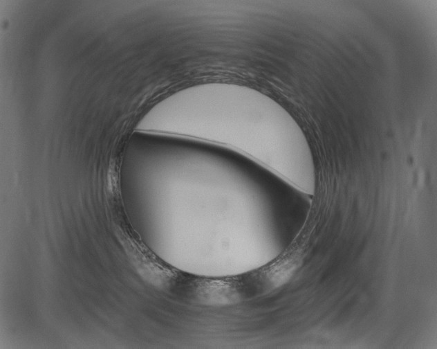 X0000082950287200702011055