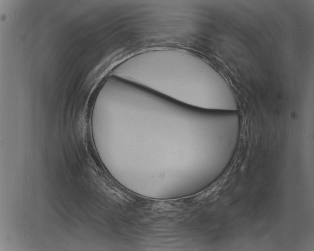 X0000082950290200702011055